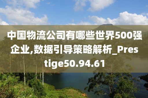 中国物流公司有哪些世界500强企业,数据引导策略解析_Prestige50.94.61