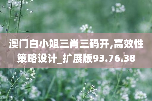 澳门白小姐三肖三码开,高效性策略设计_扩展版93.76.38