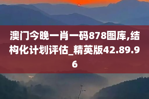 澳门今晚一肖一码878图库,结构化计划评估_精英版42.89.96