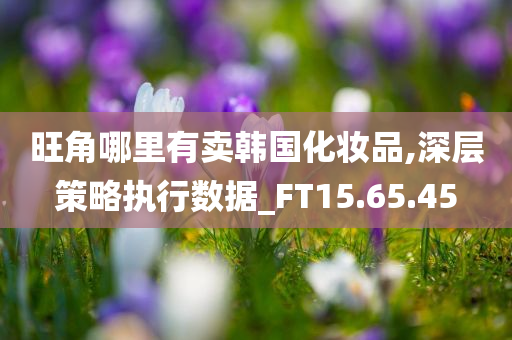 旺角哪里有卖韩国化妆品,深层策略执行数据_FT15.65.45