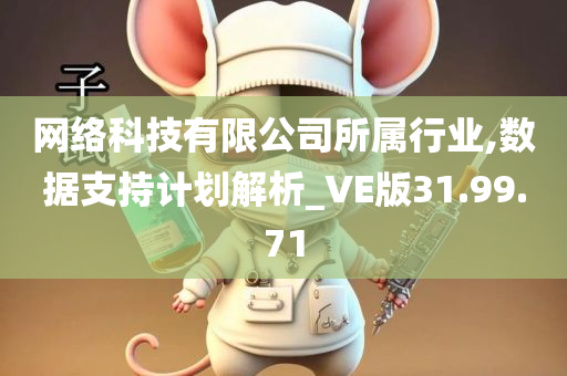 网络科技有限公司所属行业,数据支持计划解析_VE版31.99.71