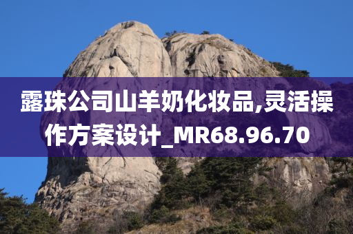 露珠公司山羊奶化妆品,灵活操作方案设计_MR68.96.70