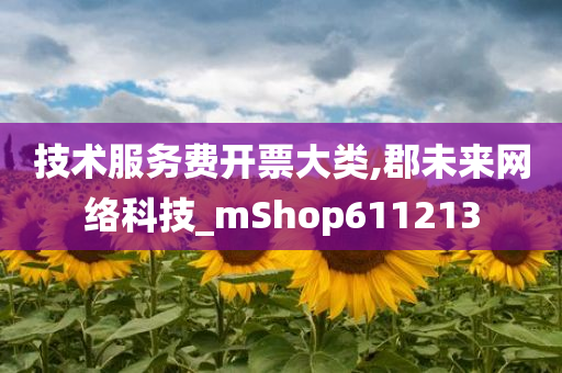 技术服务费开票大类,郡未来网络科技_mShop611213