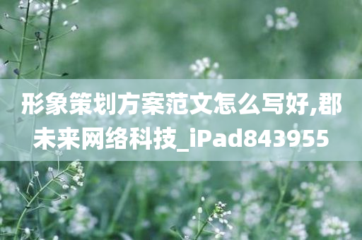 形象策划方案范文怎么写好,郡未来网络科技_iPad843955