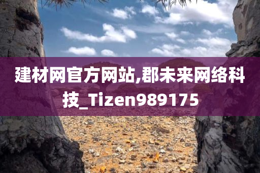 建材网官方网站,郡未来网络科技_Tizen989175