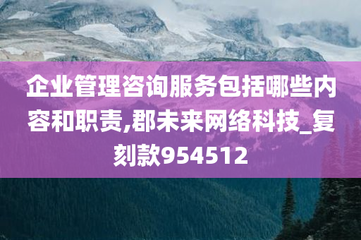 企业管理咨询服务包括哪些内容和职责,郡未来网络科技_复刻款954512