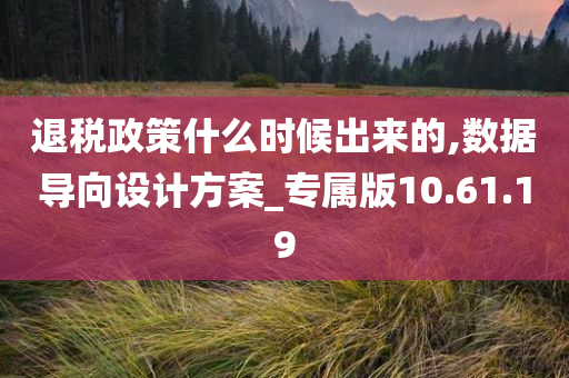 退税政策什么时候出来的,数据导向设计方案_专属版10.61.19