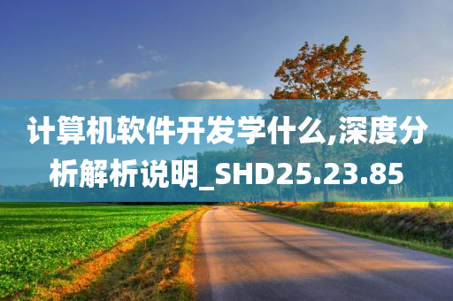 计算机软件开发学什么,深度分析解析说明_SHD25.23.85