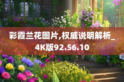 彩霞兰花图片,权威说明解析_4K版92.56.10