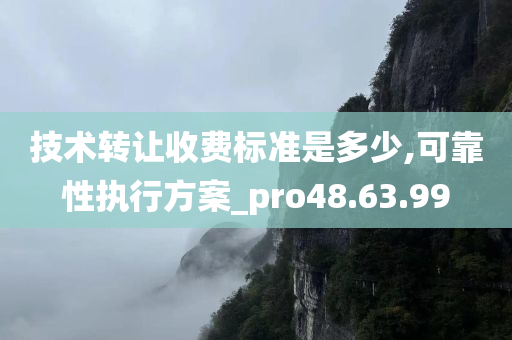 技术转让收费标准是多少,可靠性执行方案_pro48.63.99