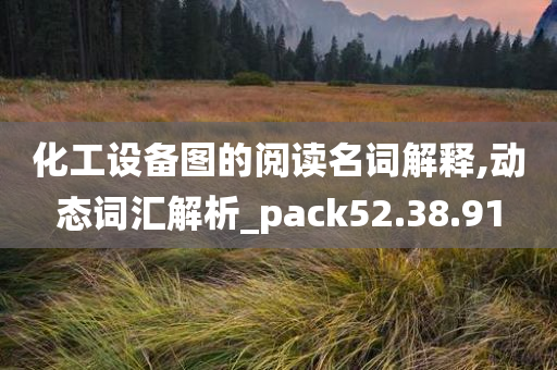 化工设备图的阅读名词解释,动态词汇解析_pack52.38.91