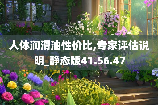 人体润滑油性价比,专家评估说明_静态版41.56.47