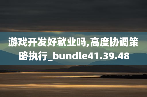 游戏开发好就业吗,高度协调策略执行_bundle41.39.48