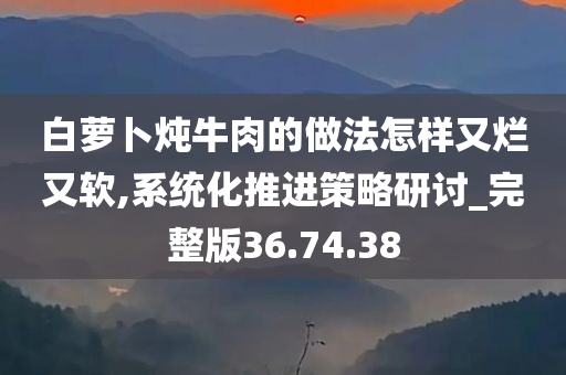 白萝卜炖牛肉的做法怎样又烂又软,系统化推进策略研讨_完整版36.74.38