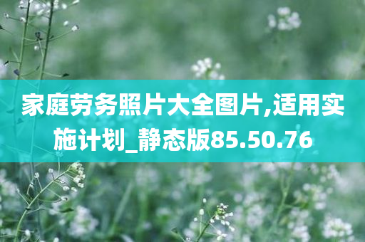 家庭劳务照片大全图片,适用实施计划_静态版85.50.76