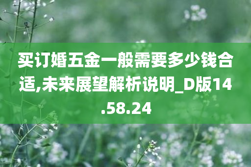 买订婚五金一般需要多少钱合适,未来展望解析说明_D版14.58.24