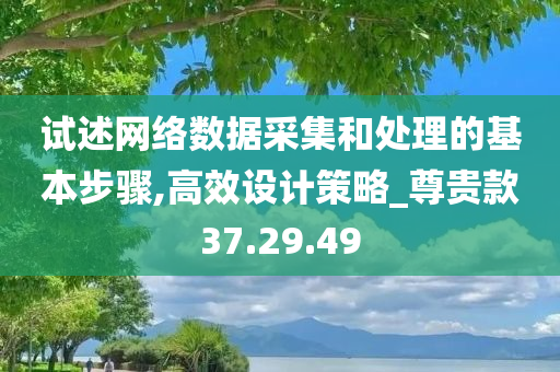 试述网络数据采集和处理的基本步骤,高效设计策略_尊贵款37.29.49