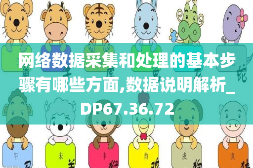 网络数据采集和处理的基本步骤有哪些方面,数据说明解析_DP67.36.72