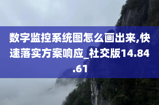 数字监控系统图怎么画出来,快速落实方案响应_社交版14.84.61