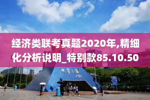 经济类联考真题2020年,精细化分析说明_特别款85.10.50