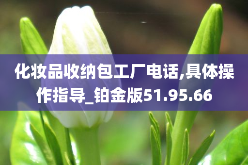 化妆品收纳包工厂电话,具体操作指导_铂金版51.95.66