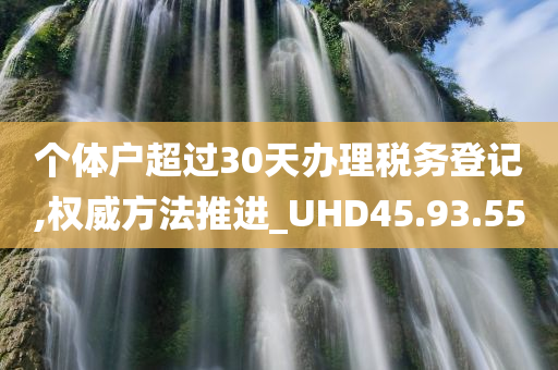 个体户超过30天办理税务登记,权威方法推进_UHD45.93.55