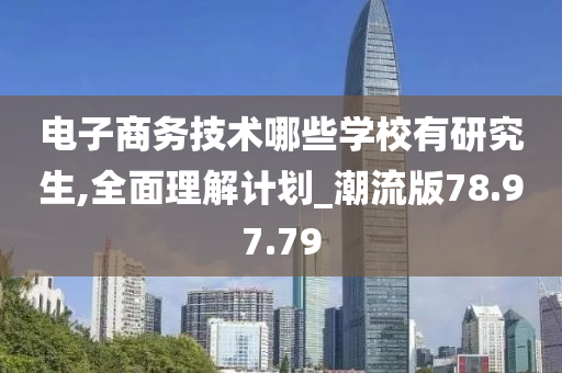 电子商务技术哪些学校有研究生,全面理解计划_潮流版78.97.79