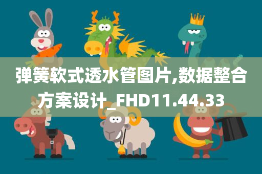 弹簧软式透水管图片,数据整合方案设计_FHD11.44.33