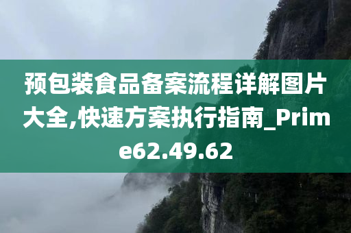 预包装食品备案流程详解图片大全,快速方案执行指南_Prime62.49.62