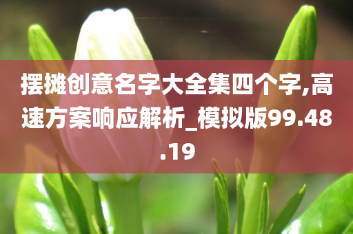 摆摊创意名字大全集四个字,高速方案响应解析_模拟版99.48.19