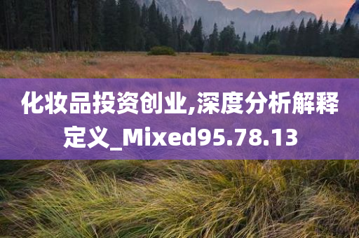 化妆品投资创业,深度分析解释定义_Mixed95.78.13