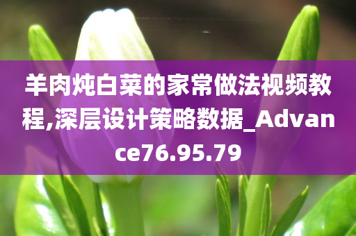 羊肉炖白菜的家常做法视频教程,深层设计策略数据_Advance76.95.79