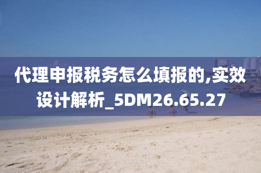 代理申报税务怎么填报的,实效设计解析_5DM26.65.27