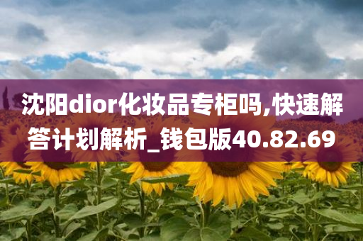 沈阳dior化妆品专柜吗,快速解答计划解析_钱包版40.82.69