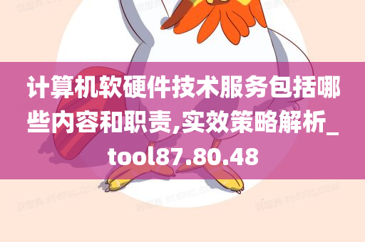 计算机软硬件技术服务包括哪些内容和职责,实效策略解析_tool87.80.48