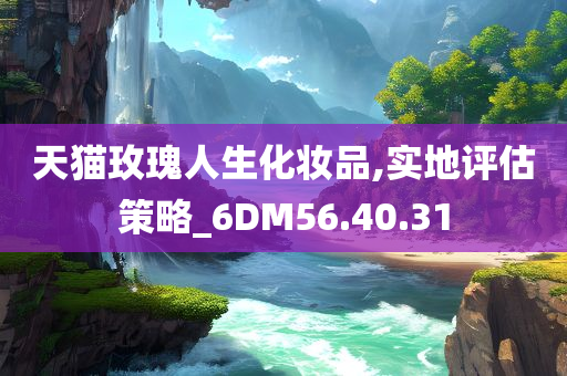 天猫玫瑰人生化妆品,实地评估策略_6DM56.40.31