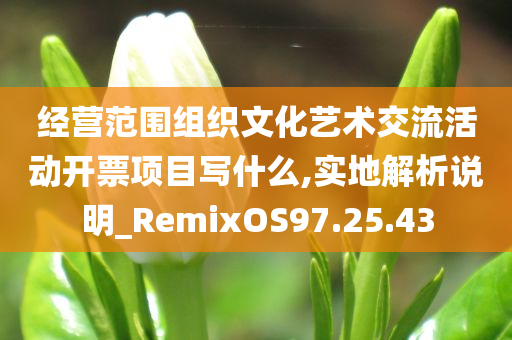 经营范围组织文化艺术交流活动开票项目写什么,实地解析说明_RemixOS97.25.43