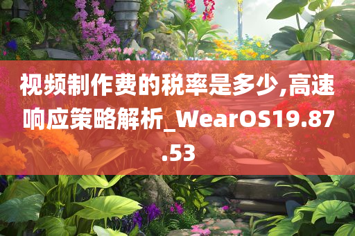 视频制作费的税率是多少,高速响应策略解析_WearOS19.87.53