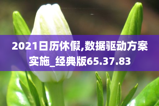 2021日历休假,数据驱动方案实施_经典版65.37.83