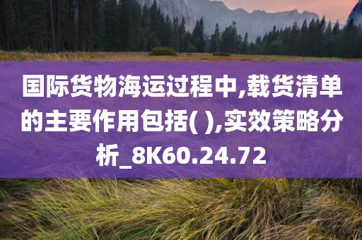 国际货物海运过程中,载货清单的主要作用包括( ),实效策略分析_8K60.24.72