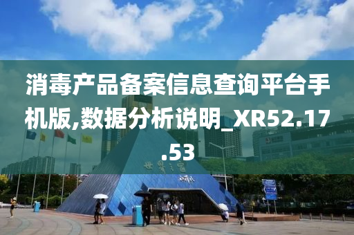 消毒产品备案信息查询平台手机版,数据分析说明_XR52.17.53