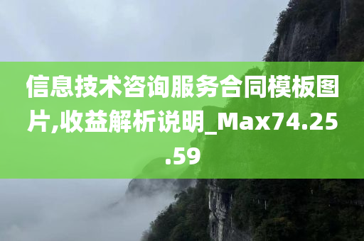 信息技术咨询服务合同模板图片,收益解析说明_Max74.25.59