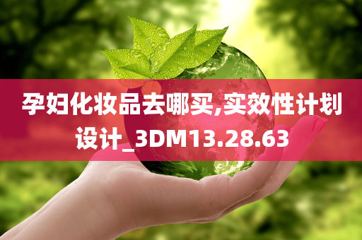 孕妇化妆品去哪买,实效性计划设计_3DM13.28.63