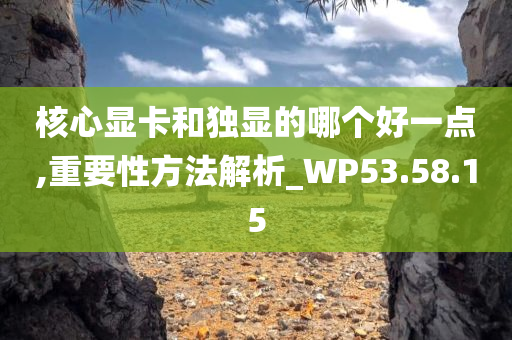 核心显卡和独显的哪个好一点,重要性方法解析_WP53.58.15