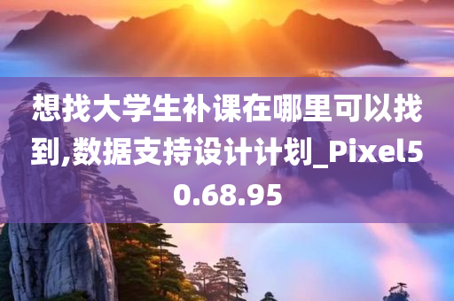 想找大学生补课在哪里可以找到,数据支持设计计划_Pixel50.68.95