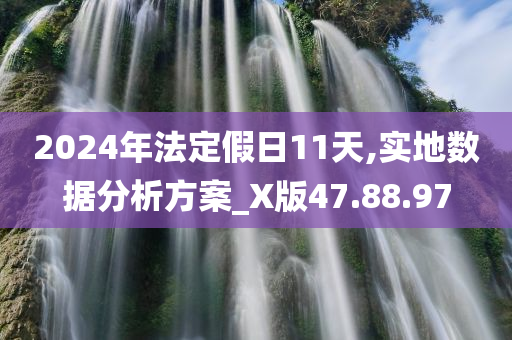 2024年法定假日11天,实地数据分析方案_X版47.88.97