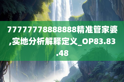 77777778888888精准管家婆,实地分析解释定义_OP83.83.48