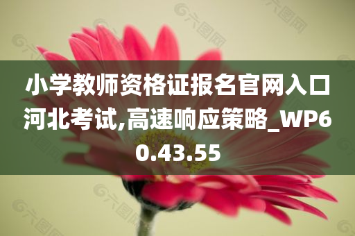 小学教师资格证报名官网入口河北考试,高速响应策略_WP60.43.55