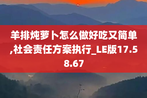 羊排炖萝卜怎么做好吃又简单,社会责任方案执行_LE版17.58.67