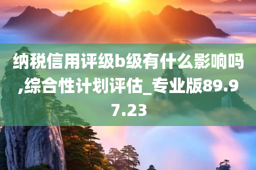 纳税信用评级b级有什么影响吗,综合性计划评估_专业版89.97.23